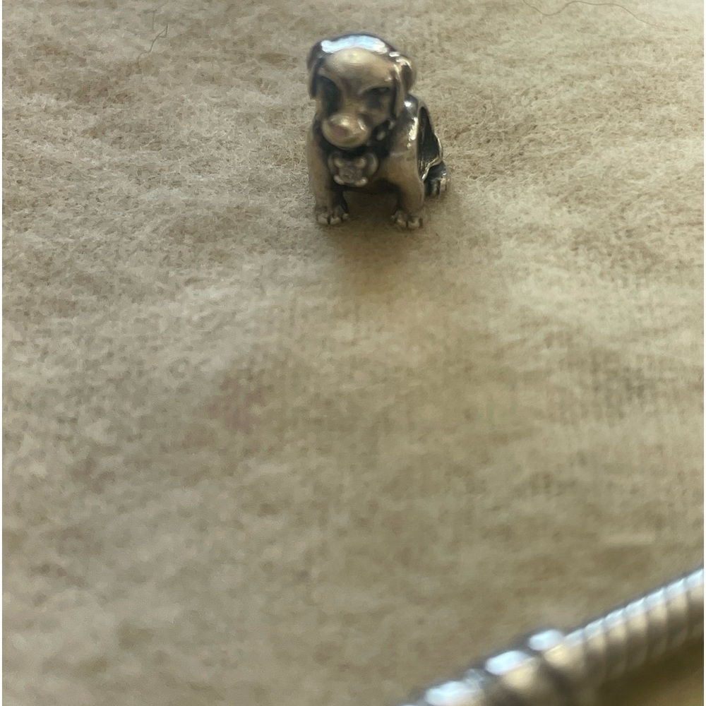 Pandora charm dog